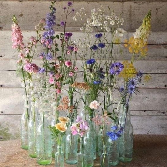 Meet your Posher, Alex - Picture 1 of 8